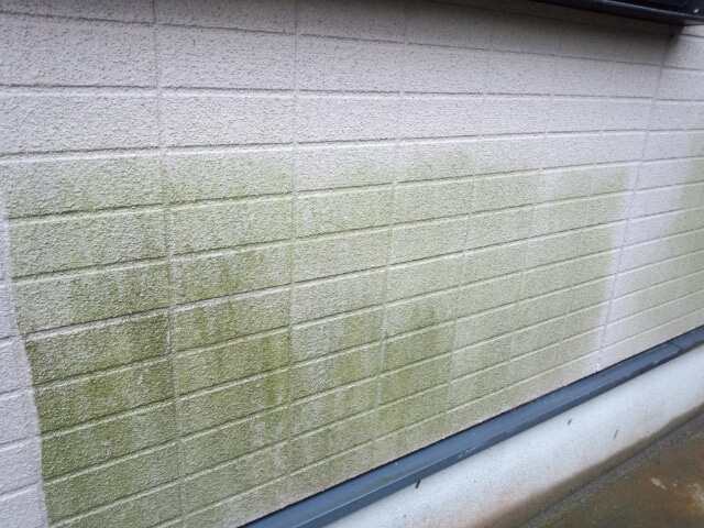 コケカビ藻が発生した外壁